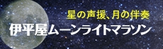 伊平屋ムーンライトマラソン